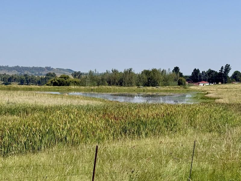 0 Bedroom Property for Sale in Bethlehem Rural Free State